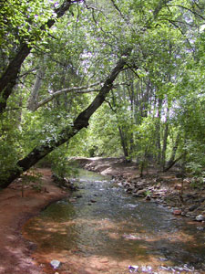 Creek