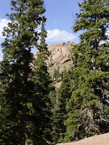 A Small Mountain Peak taken from Below Timber Line